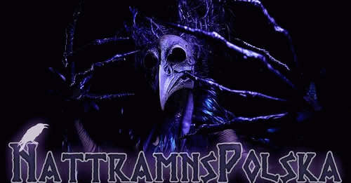 Black Magic Fools : Nattramnspolska